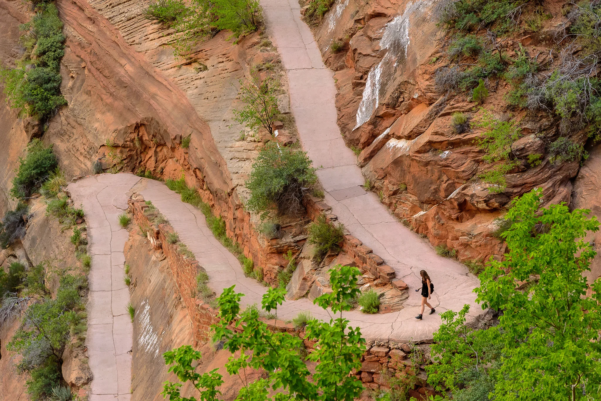 zion_angeles_landing_hike.jpg