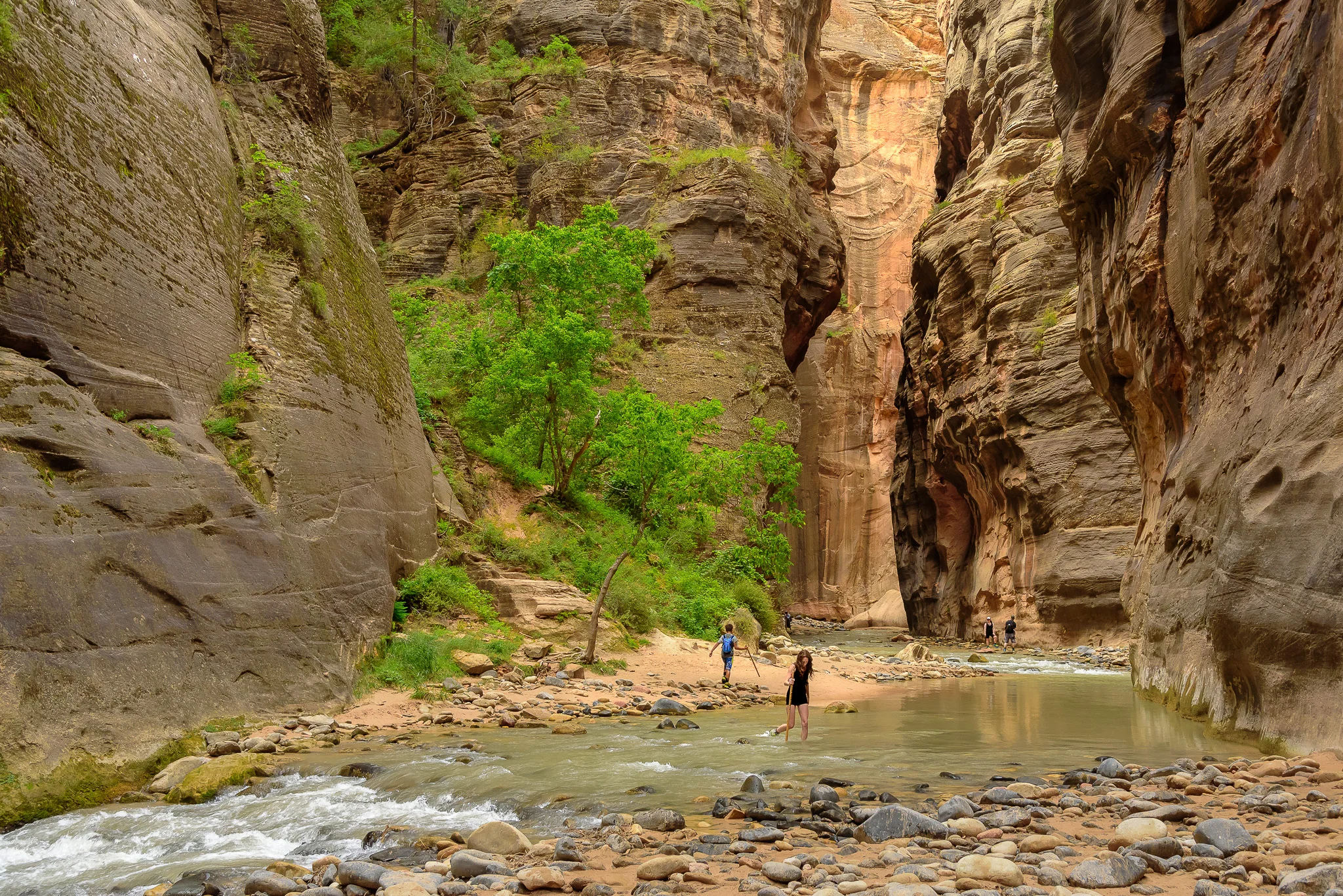 zion_the narrows_hike.jpg