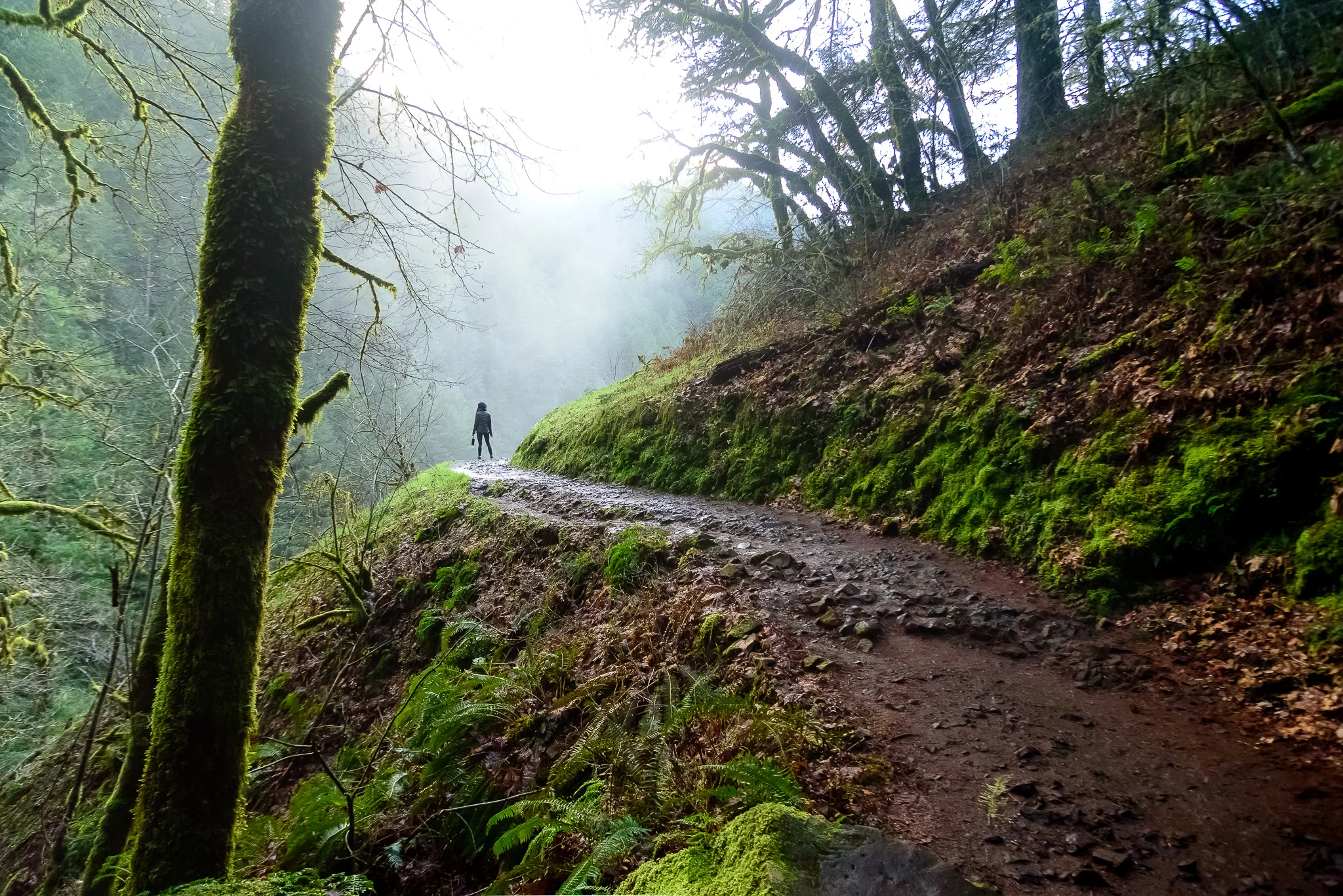portland_eagle_creek_hike.jpg