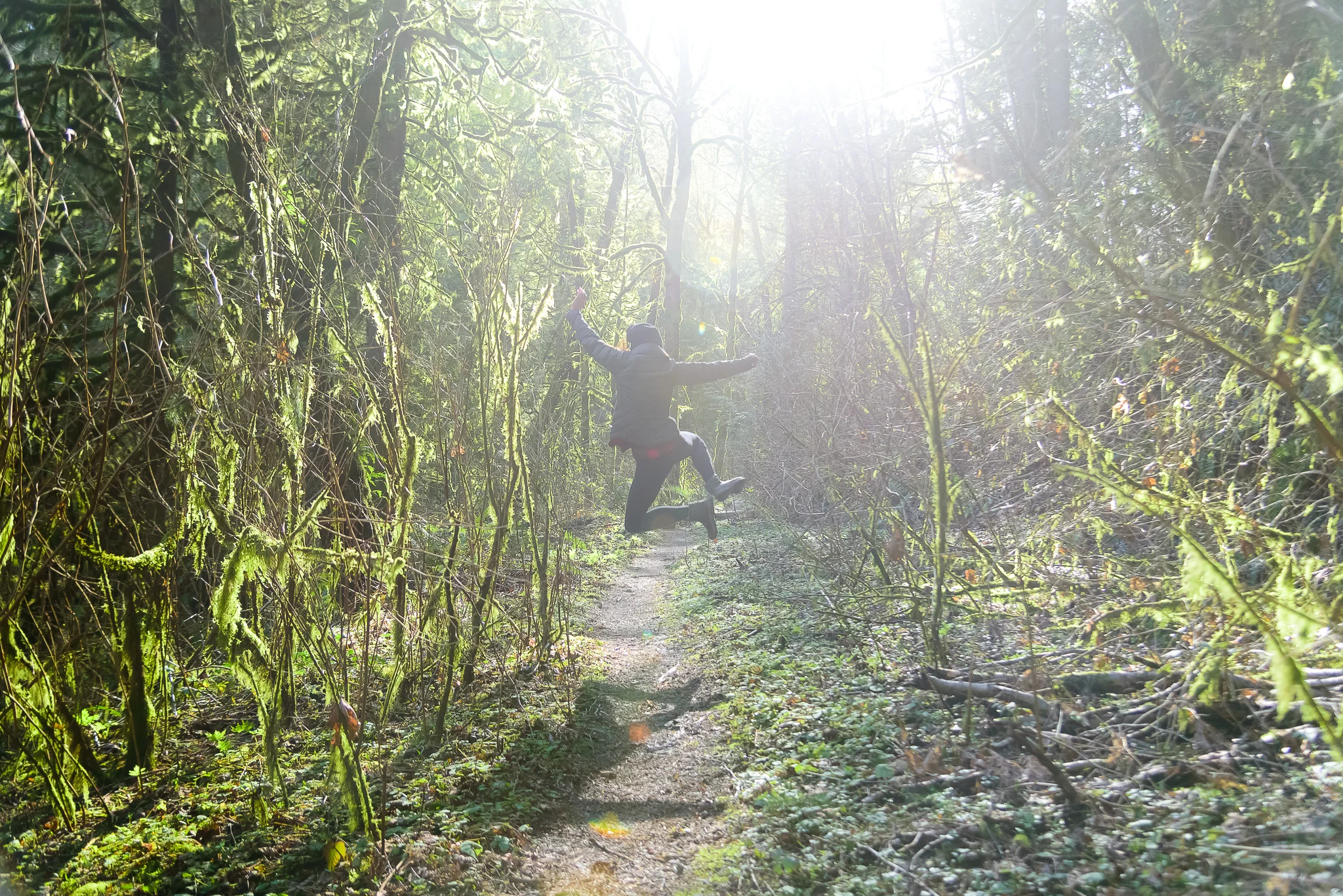 portland_forest_park_hike.jpg