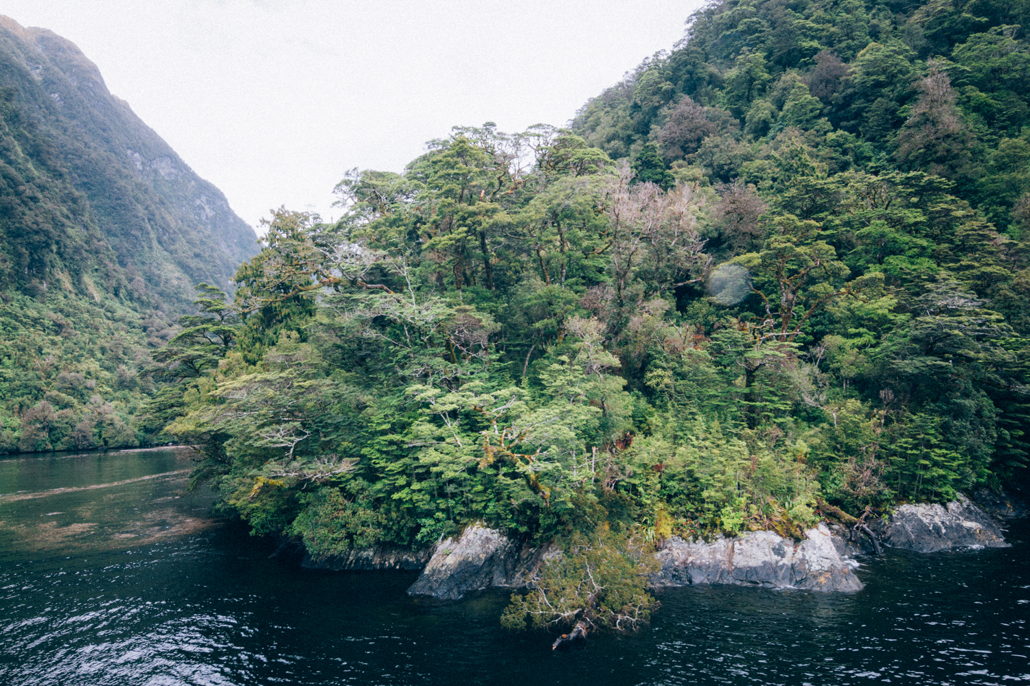 IMG_1463-1-1.jpg