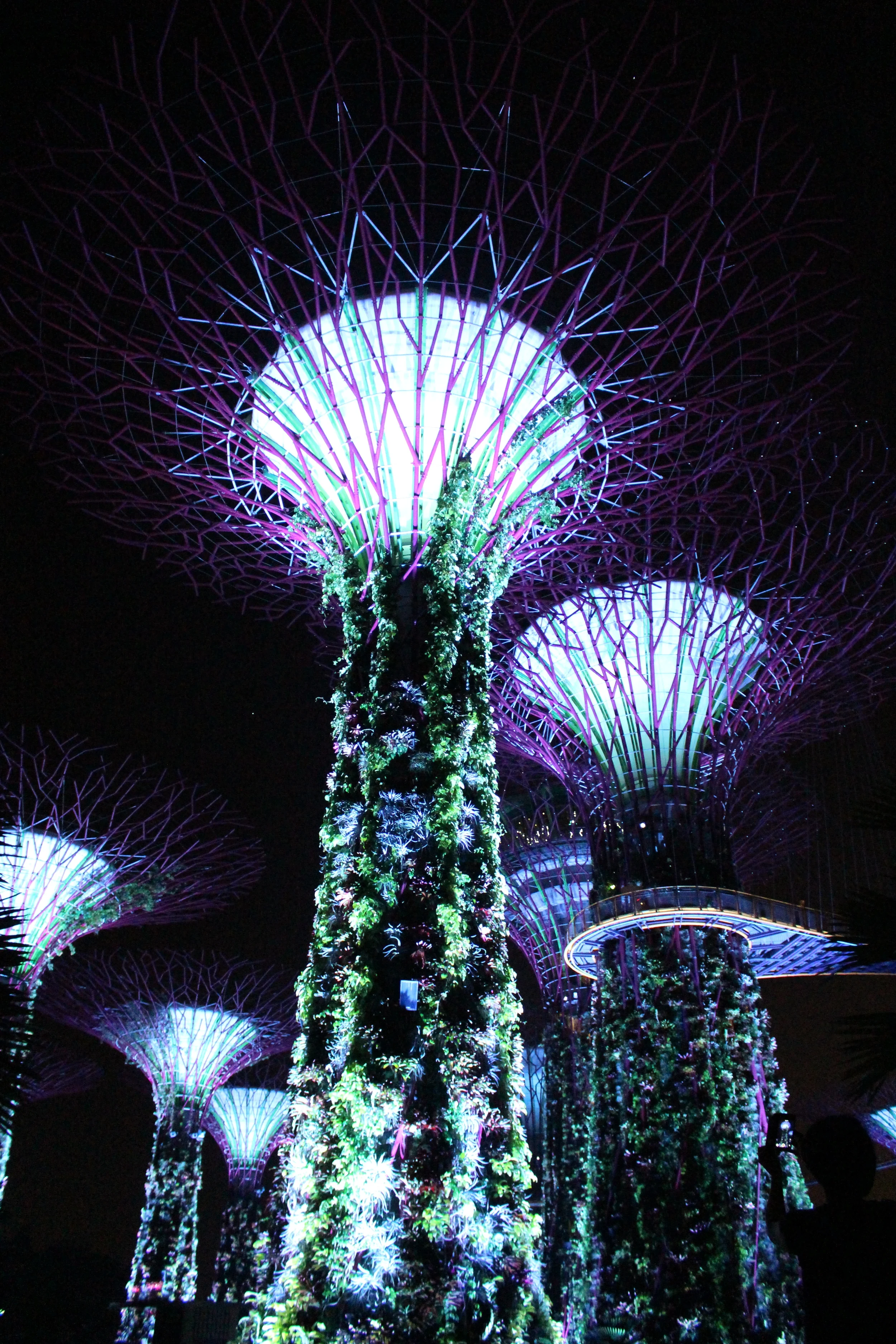 Sparkling in Singapore