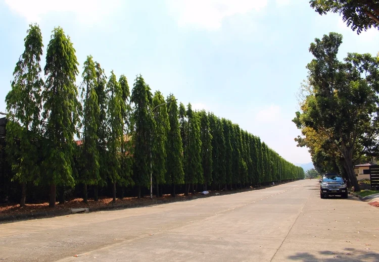 Cagayan de Oro | Dream Home