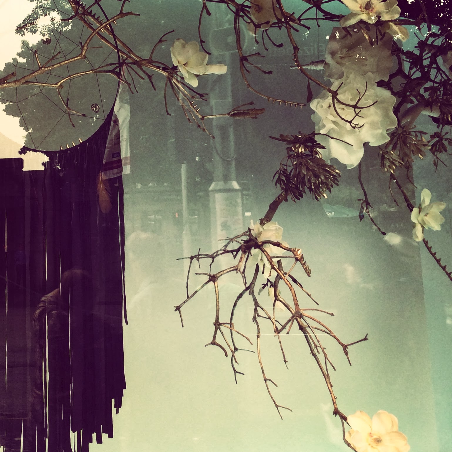 DAVID JONES WINDOW INSTALLATION