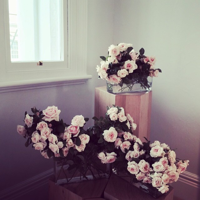 RAMBLING ROSE - CAMILLA & MARC