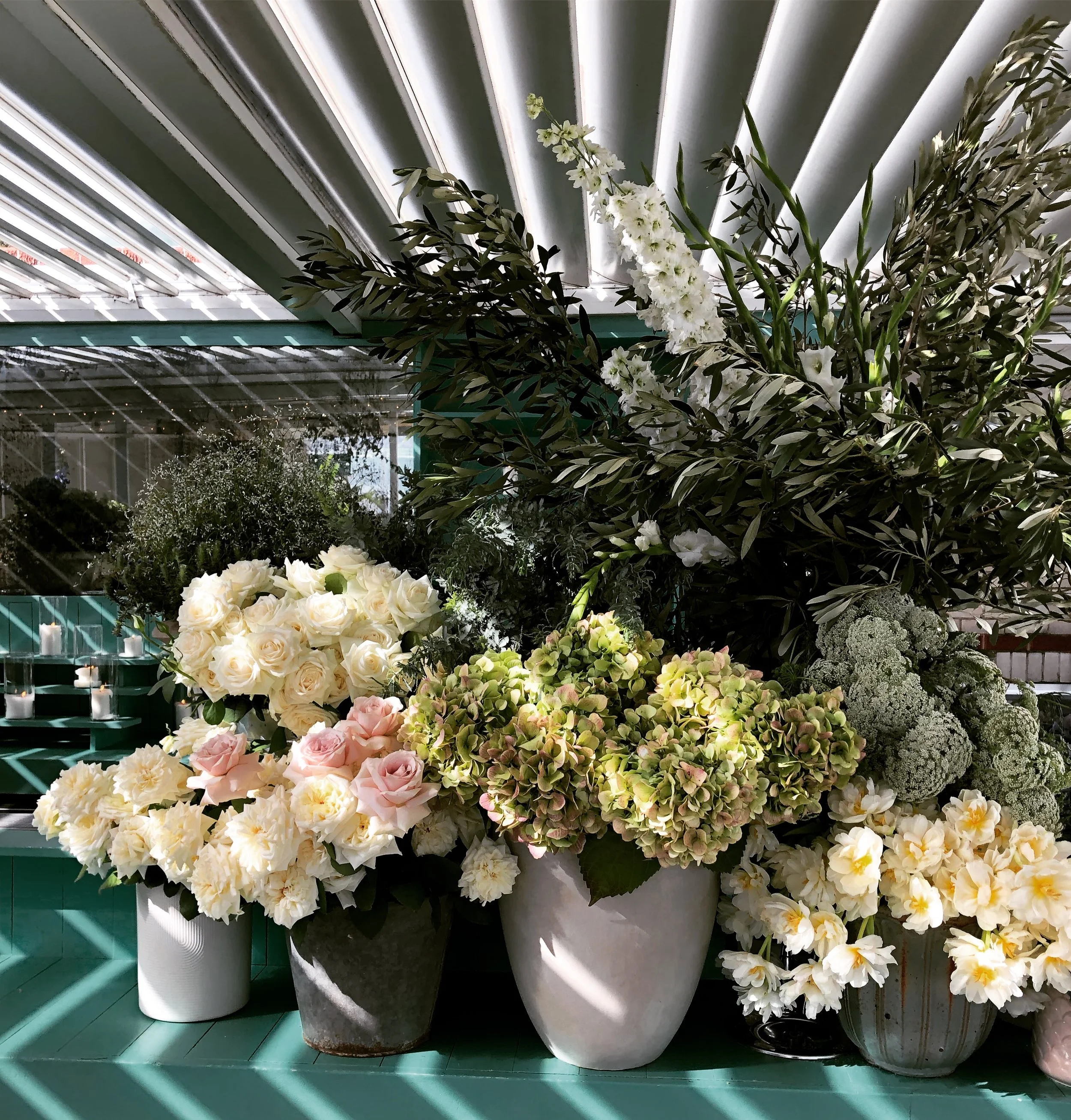 Cyd + Ollie - Watsons Bay 