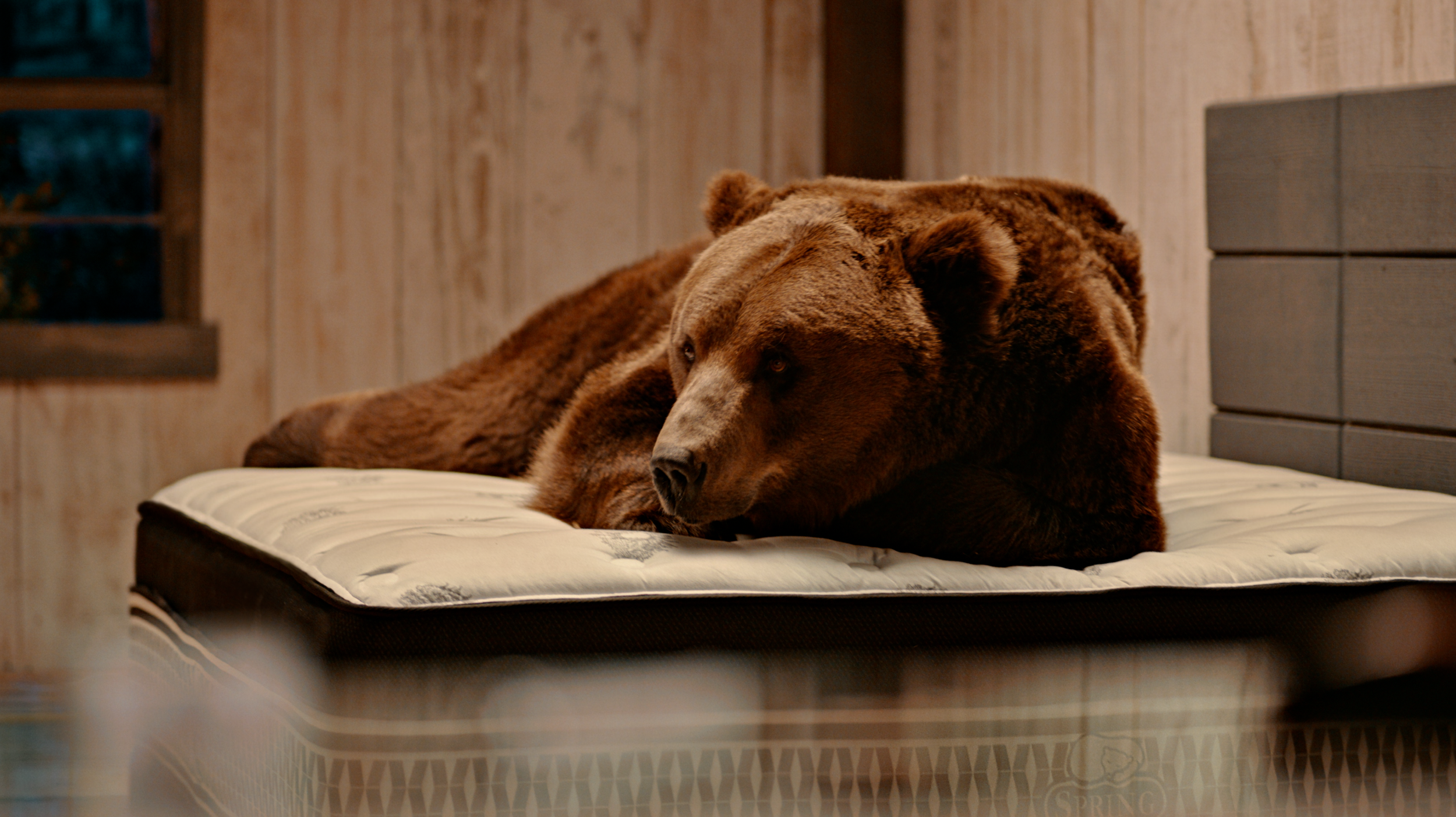 Screen Shot 2022-06-13 at 5.22.52 PM.PNG