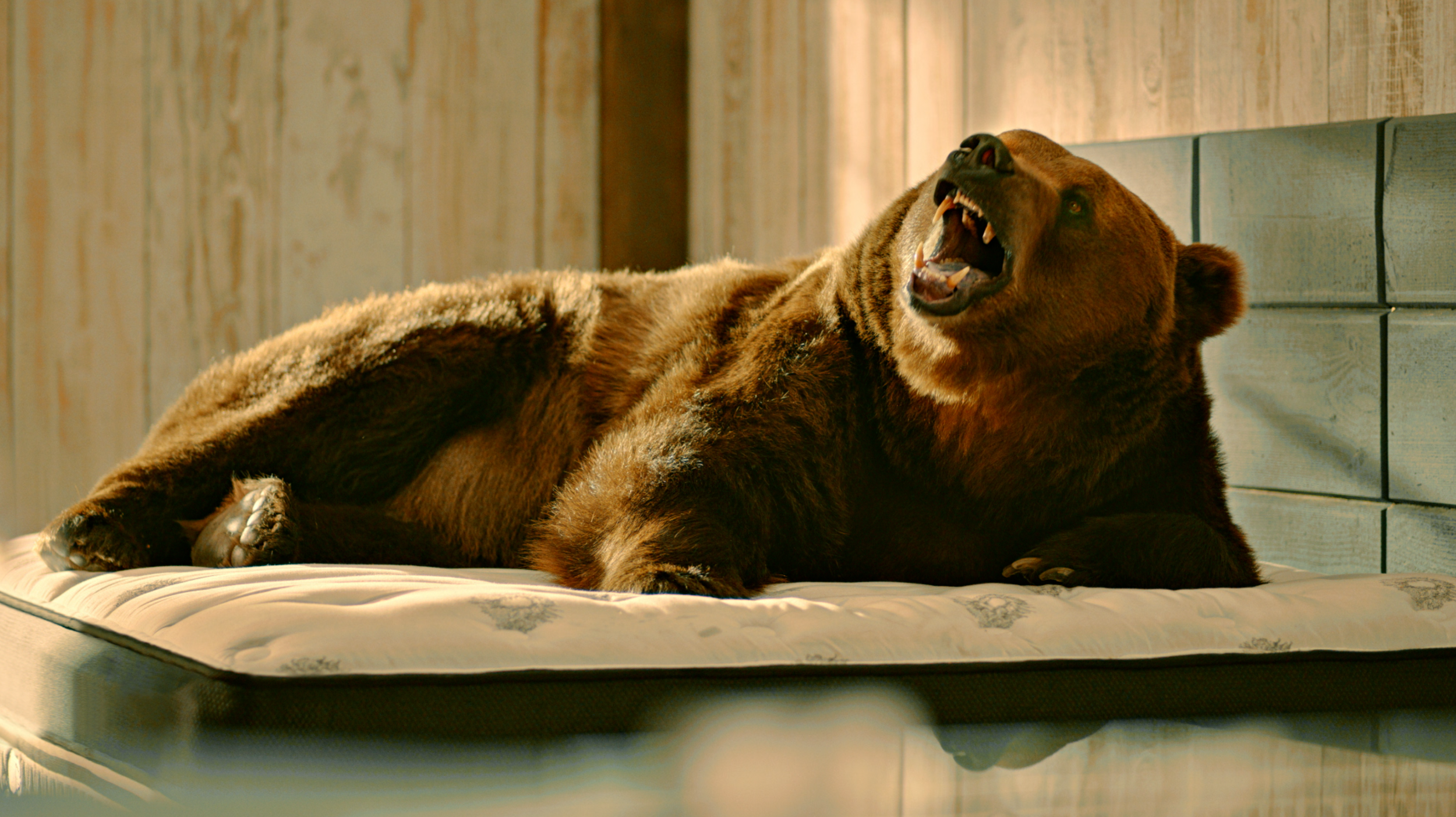 Screen Shot 2022-06-13 at 5.21.53 PM.PNG