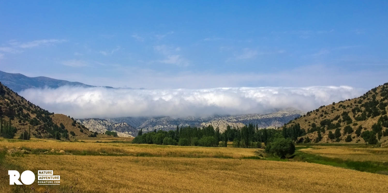 2016-07-06 Golestan - chasing the clouds - By Kian (4).jpg