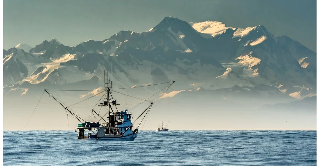 Hot Cod görs av Alaska Pollock som fiskas i de kalla vattnen söder om Alaska. Fisken är frilevande och belastar inte miljön på samma sätt som odlad fisk och är heller inte behandlad med antibiotika. För att inte förstöra fiskens habitat använder man sig av flyt-trål som aldrig kommer i kontakt med havsbotten. Fisket är noga reglerat av amerikanska myndigheter, vilket säkerställer att endast livskraftiga bestånd beskattas. Det rör sig om 100% hållbar fisk, certifierad enligt MSC (Marine Stewardship Council) och RFM (Responsible Fisheries Management). Alaska Pollock är rik på Omega 3 som är livsnödvändigt och minskar risken för hjärt- och kärlsjukdomar. För att bevara fräschheten och kvalitén, filear och fryser man fisken till havs inom sex timmar från fångst.