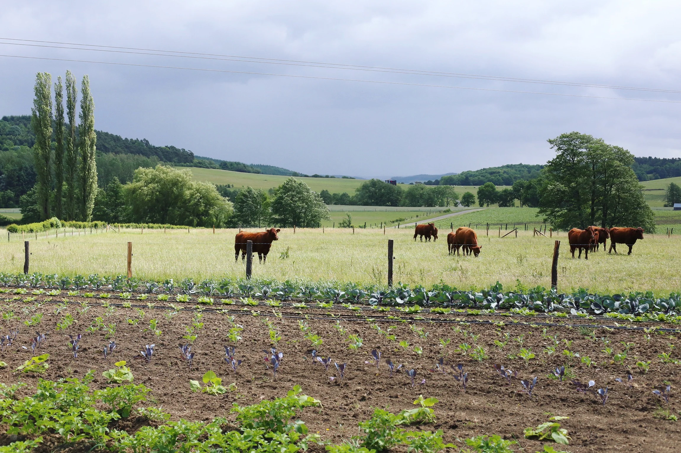 Ferme des Rabanisse