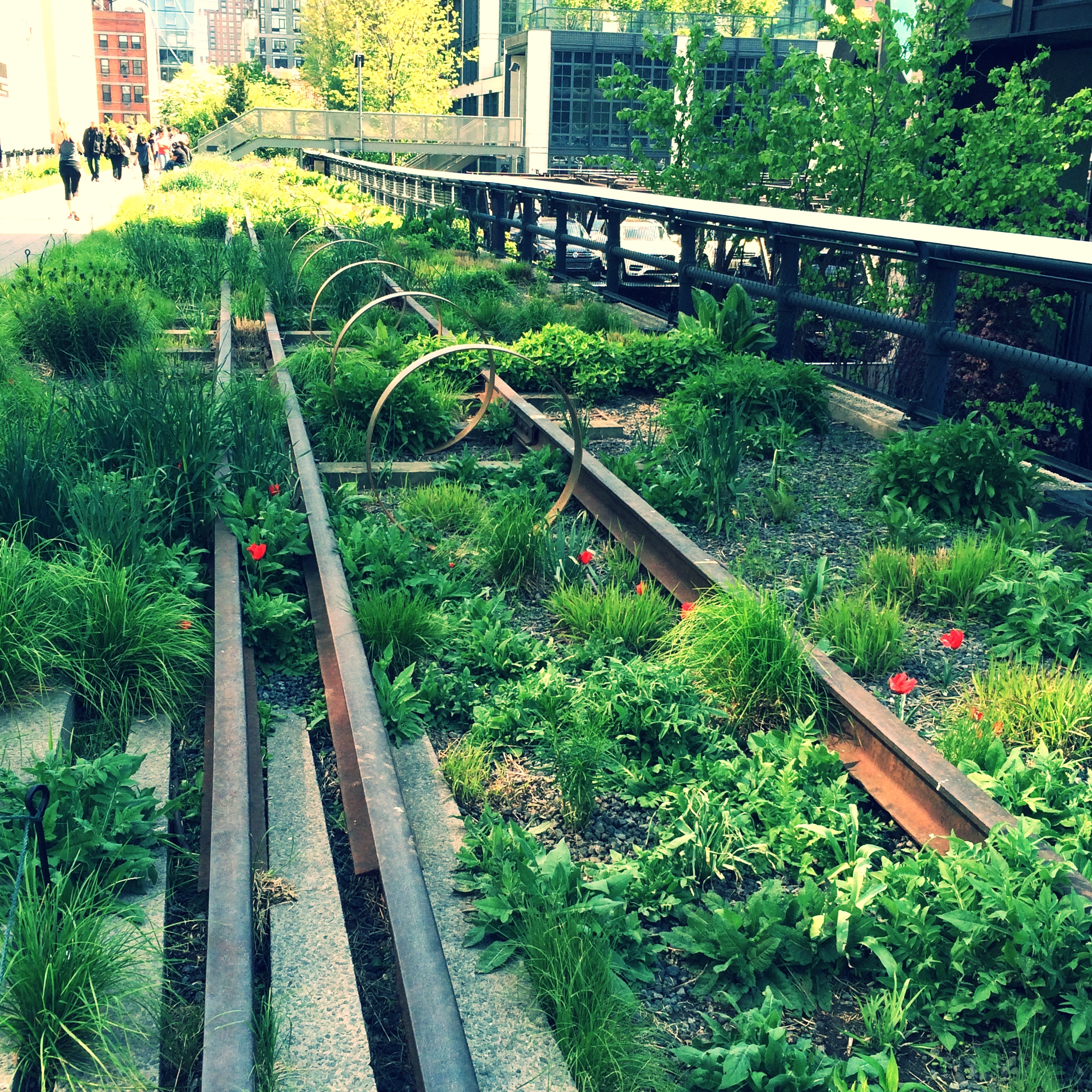 my first view of the highline, New York