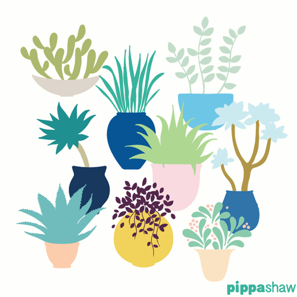 an illustration from my Marrakesh-inspired "Jardin Majorelle" collection