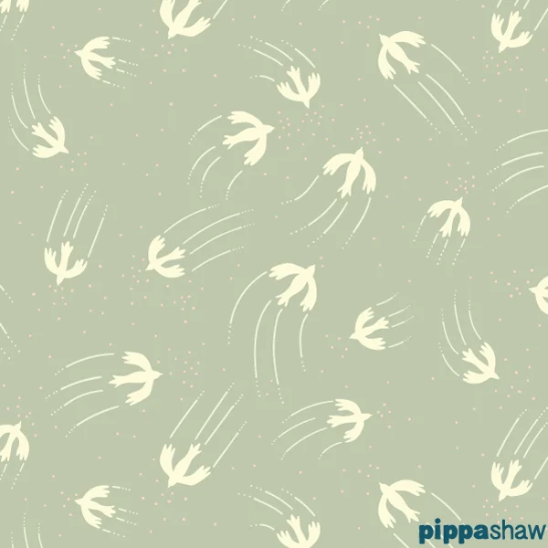 'Soaring Birds'