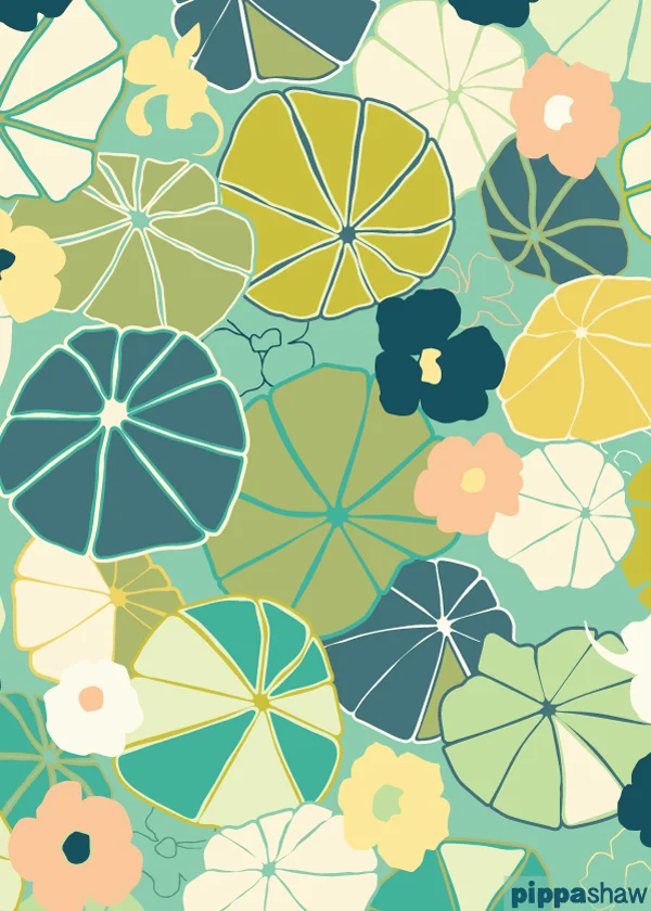 'Capucines' (Nasturtiums)