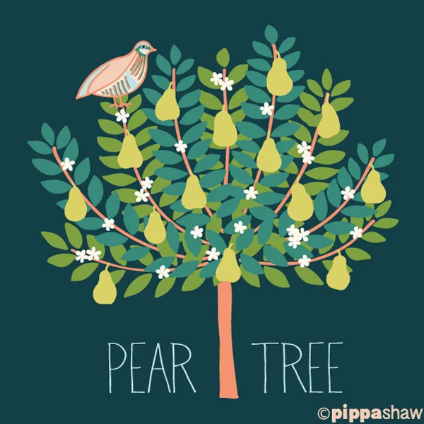 partridge in a pear tree by Pippa Shaw
