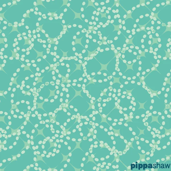 snail trail by Pippa Shaw