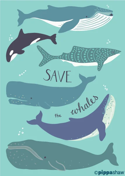 save the whales by Pippa Shaw