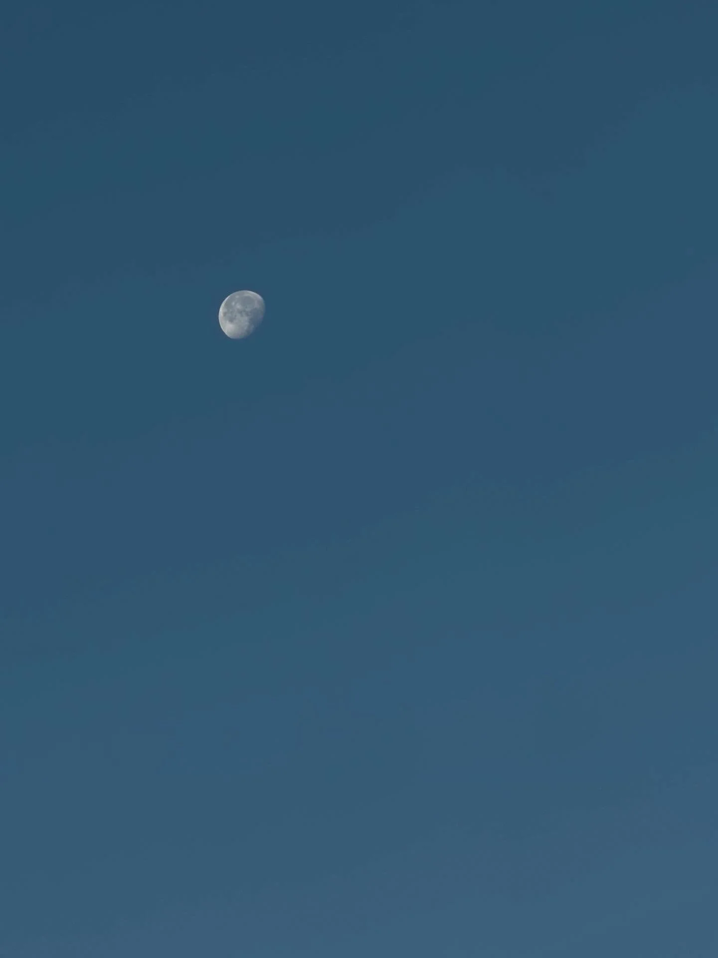 Moon this morning