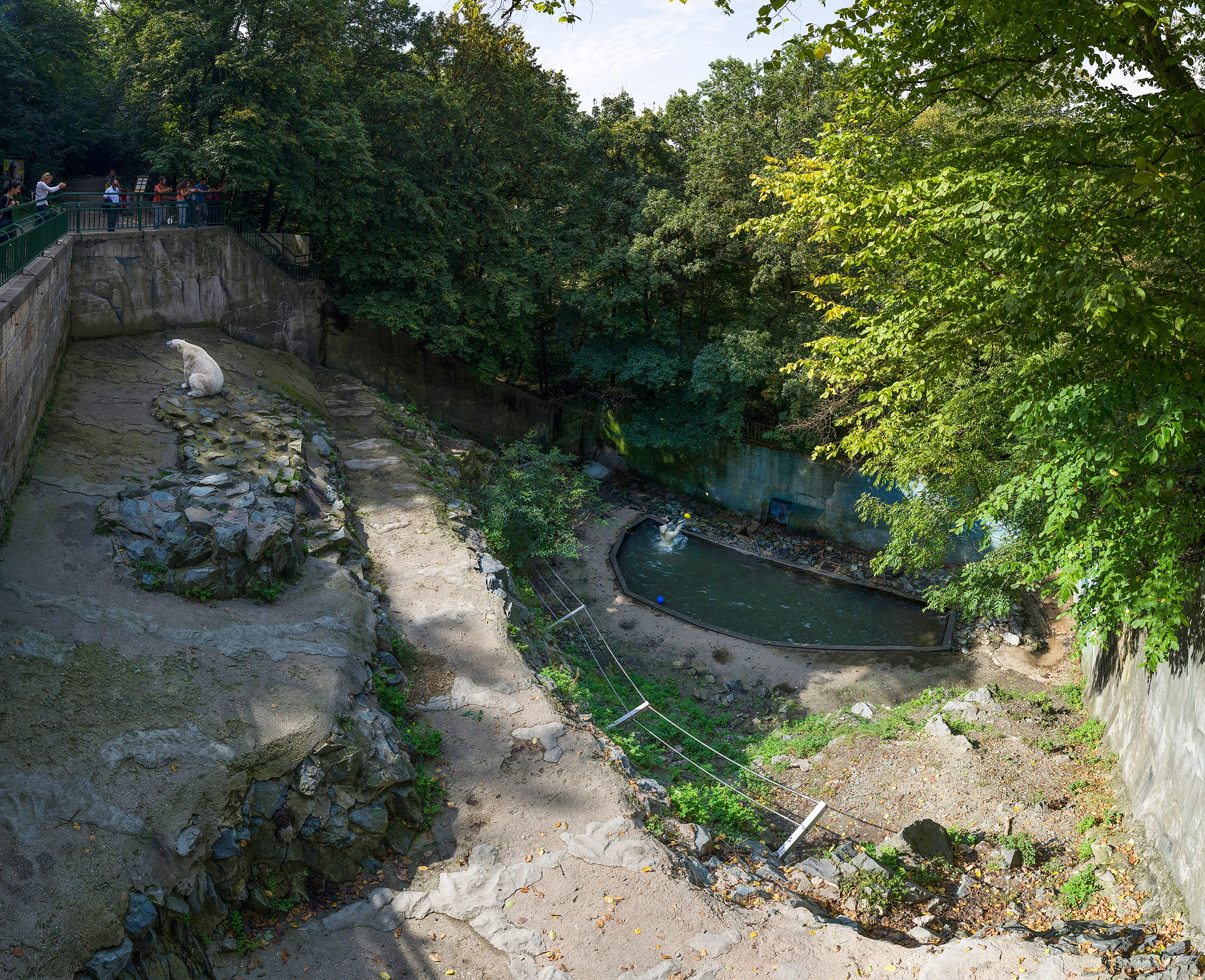 Zoo Brno, Czech Republic (2014)
