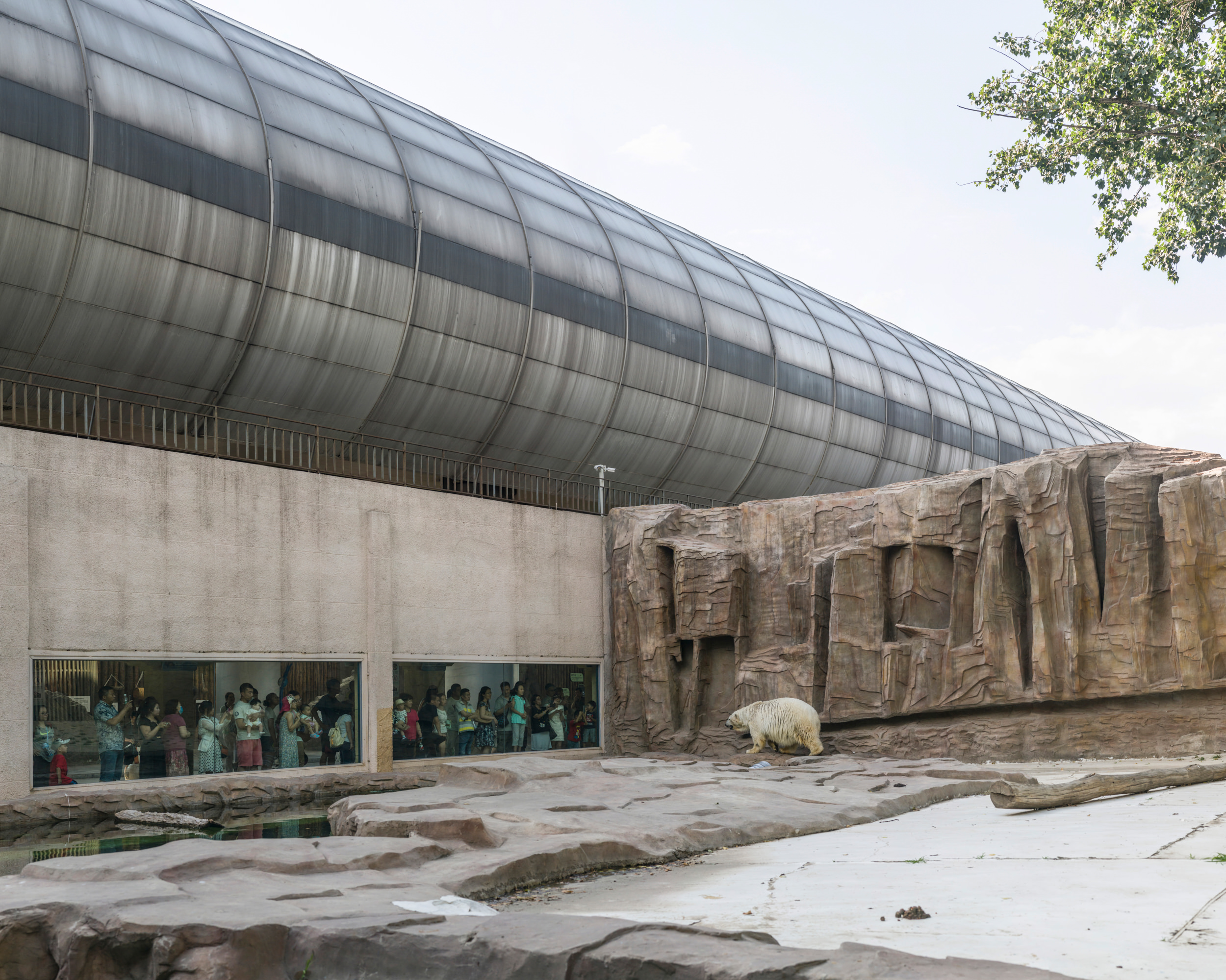 北京动物园 (2015) Beijing Zoo (Outdoor enclosure) A roadway passes on top of the enclosure; it was capsulated to shield traffic noise.