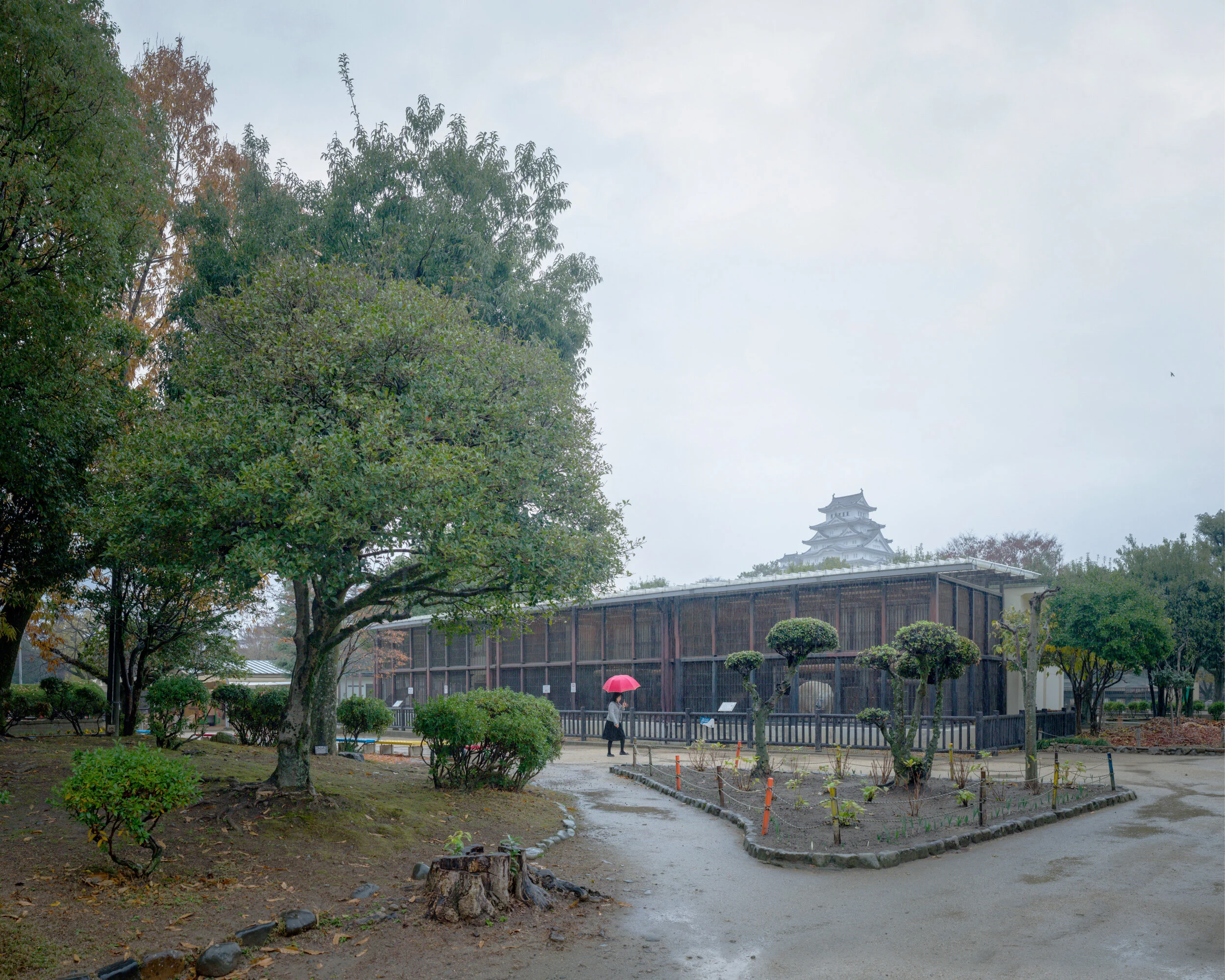 Himeji City Zoo, Japan (2018)