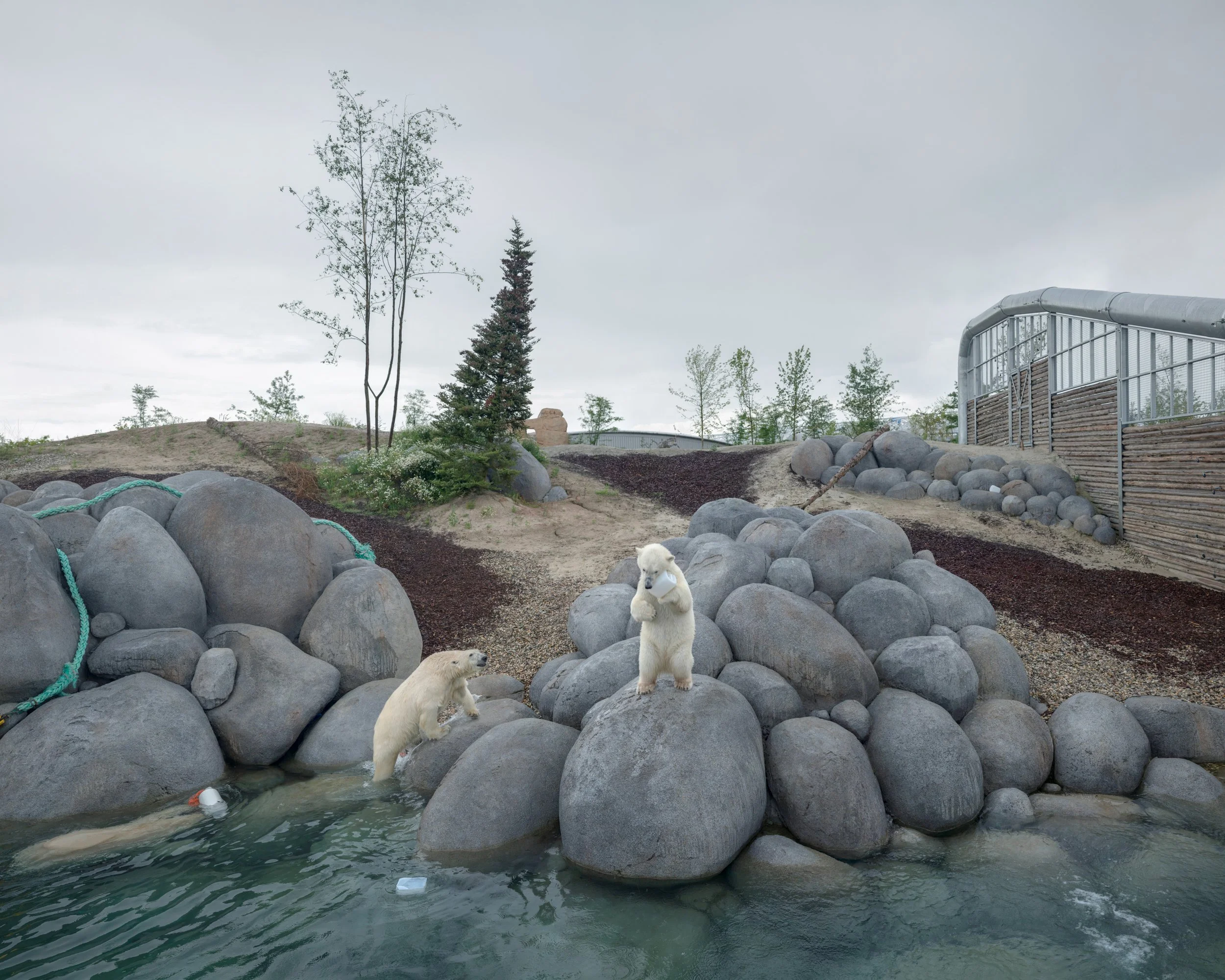 WILDLANDS Adventure Zoo Emmen, Netherlands (2016)