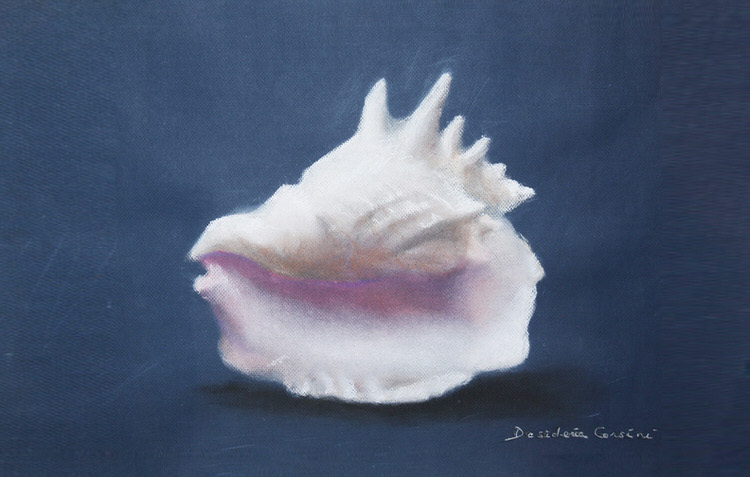 Pastel Seashell