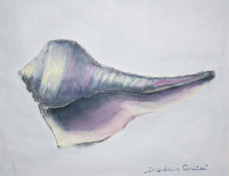 Pastel Shell