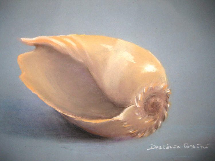 Shell
