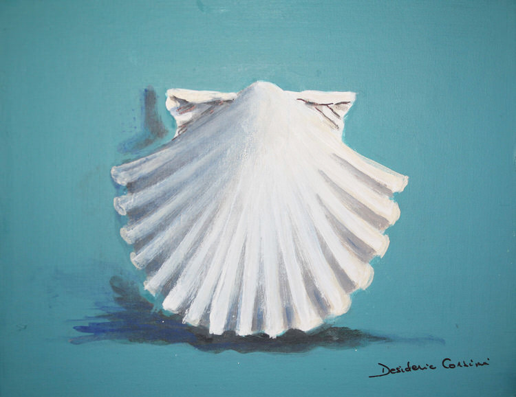 Shell on Blue Background