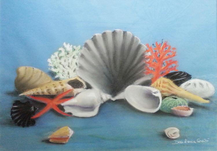 Shell Still Life