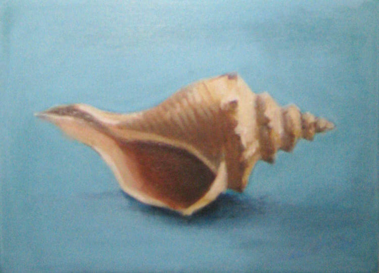 Shell III