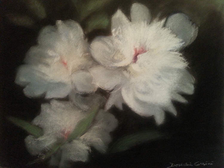 Pastel Peonies