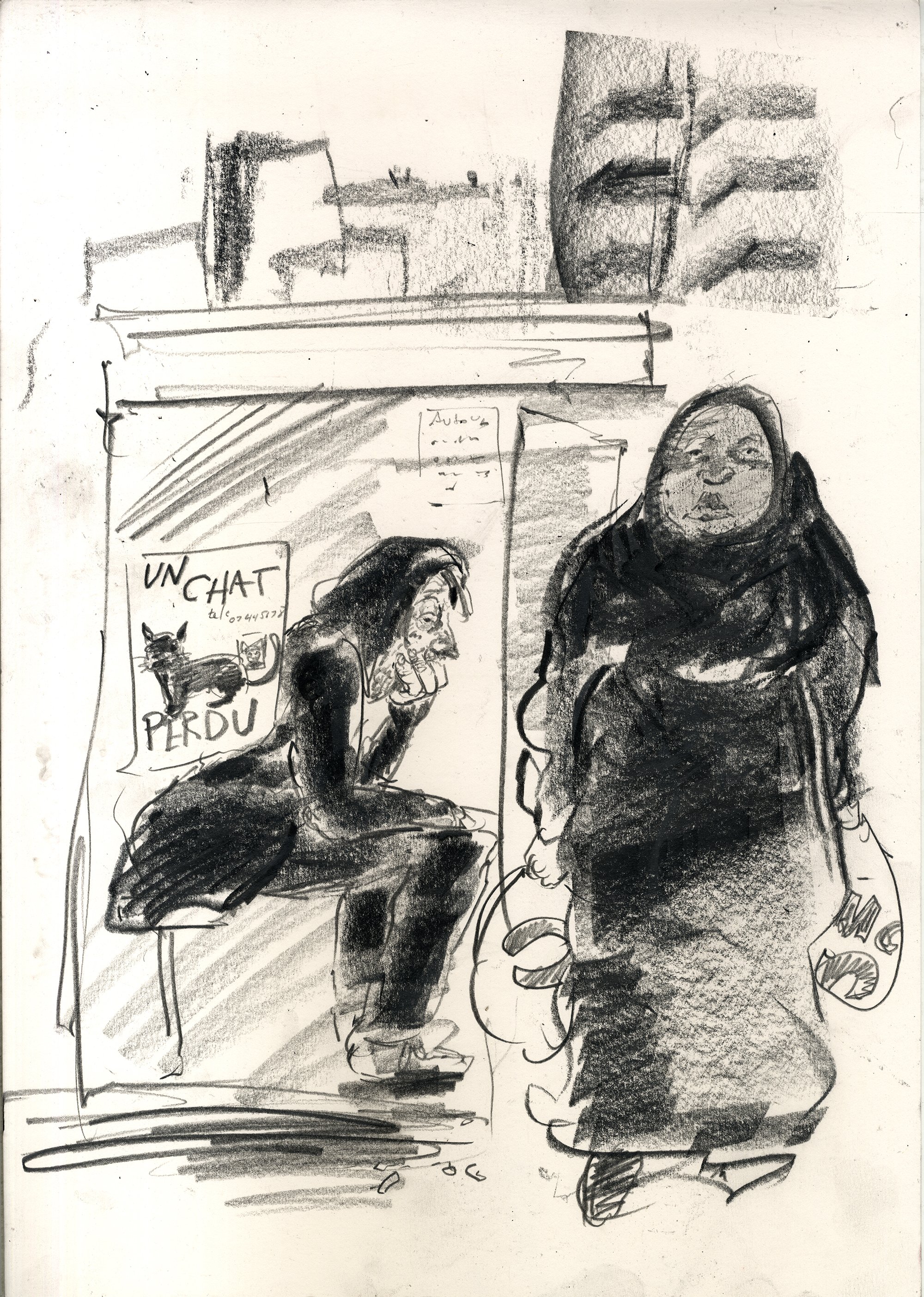 Lost cat, Lyon, France 