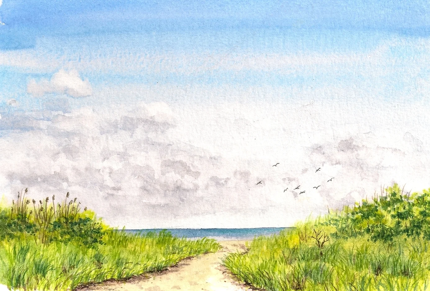 Bay path