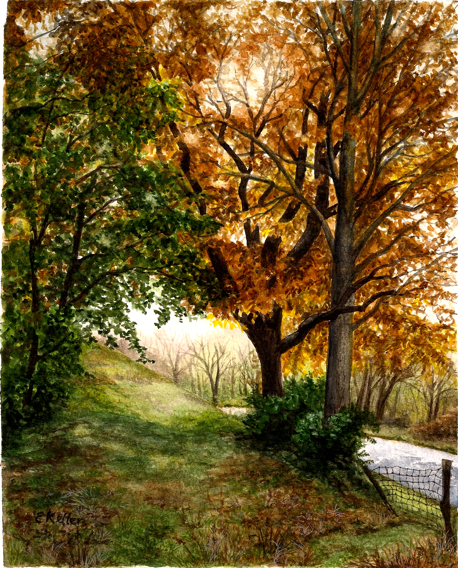 Fall Light