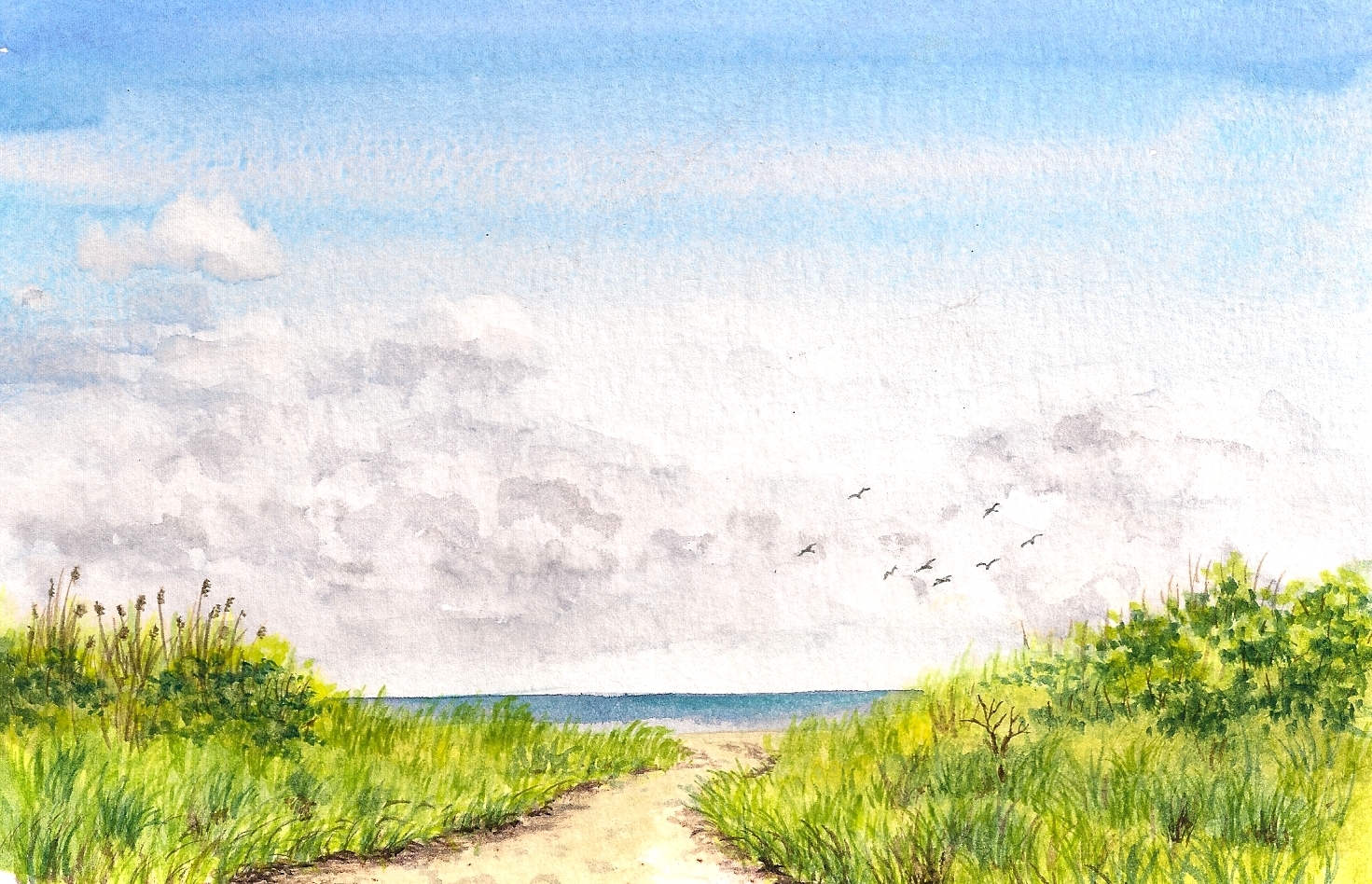 Bay Path