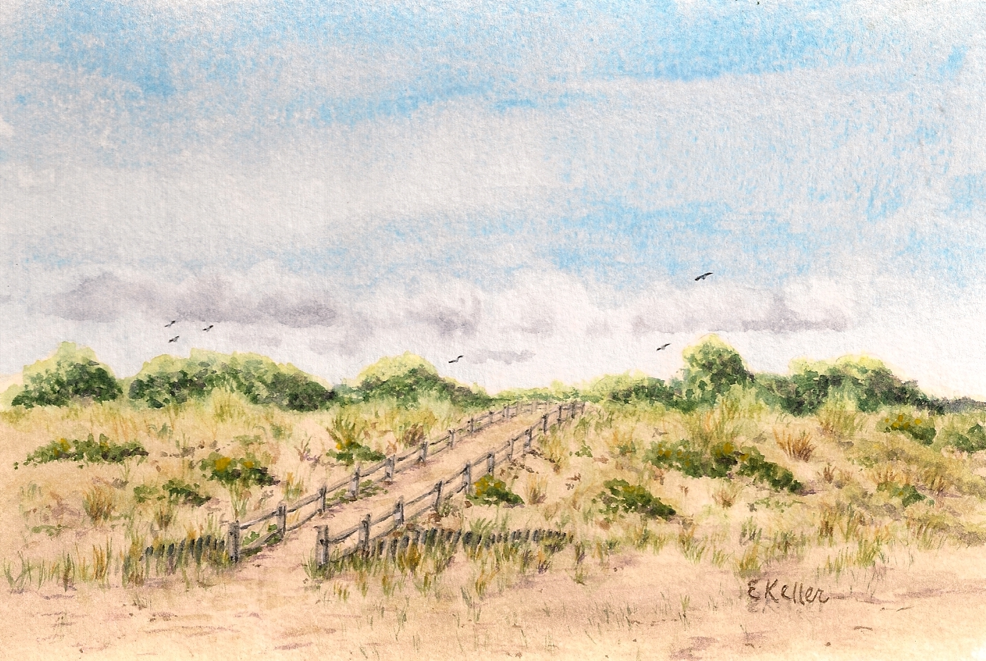 Birdwatching