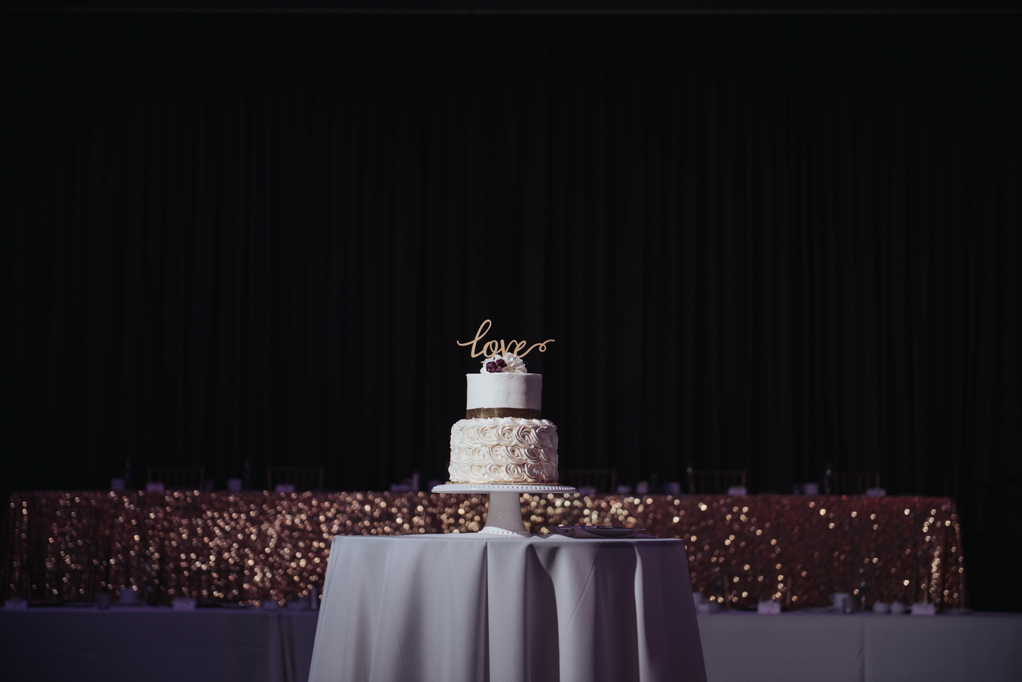 Emerald Event Center Wedding-36.jpg