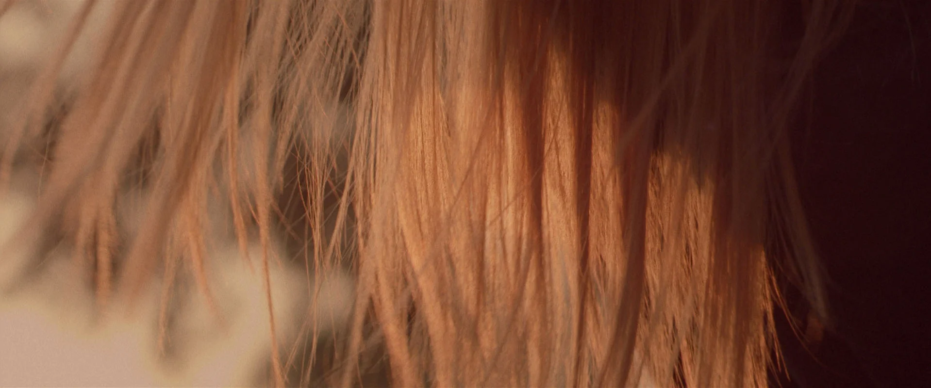 cotton_screens03.jpg
