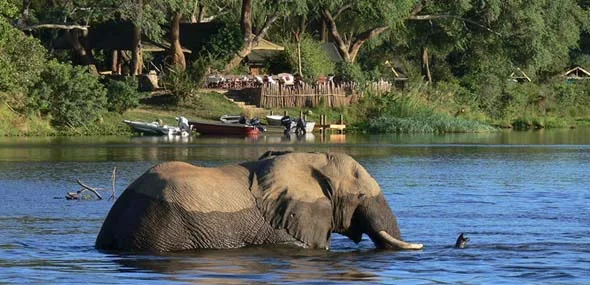 Chongwe