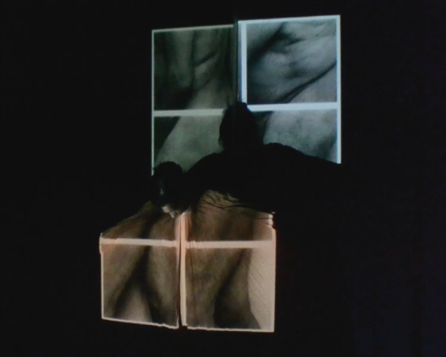 ALL SAINTS_CAROLA 2.jpg