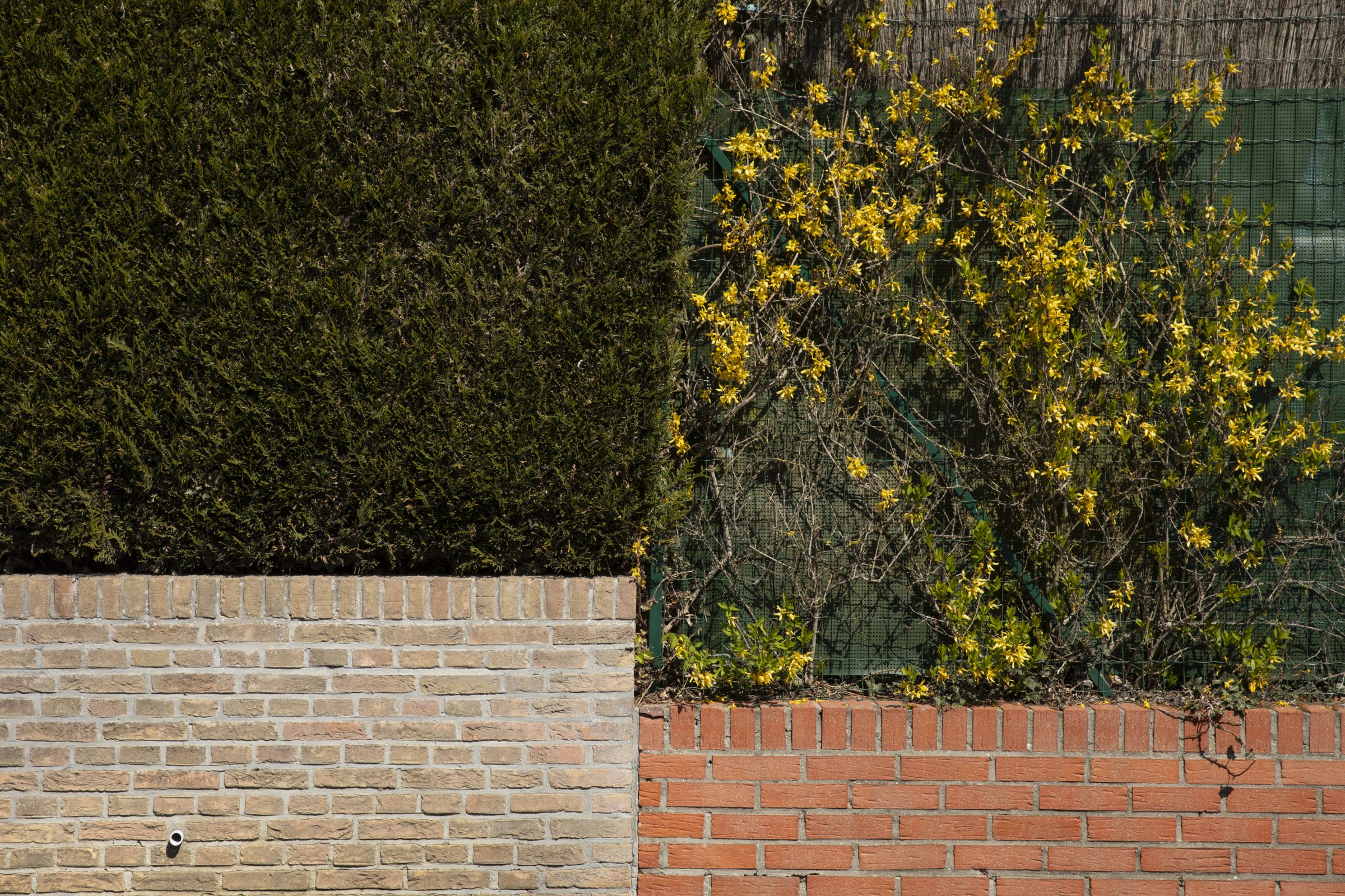 VOYAGE ENNUI_2400 PX-15.jpg