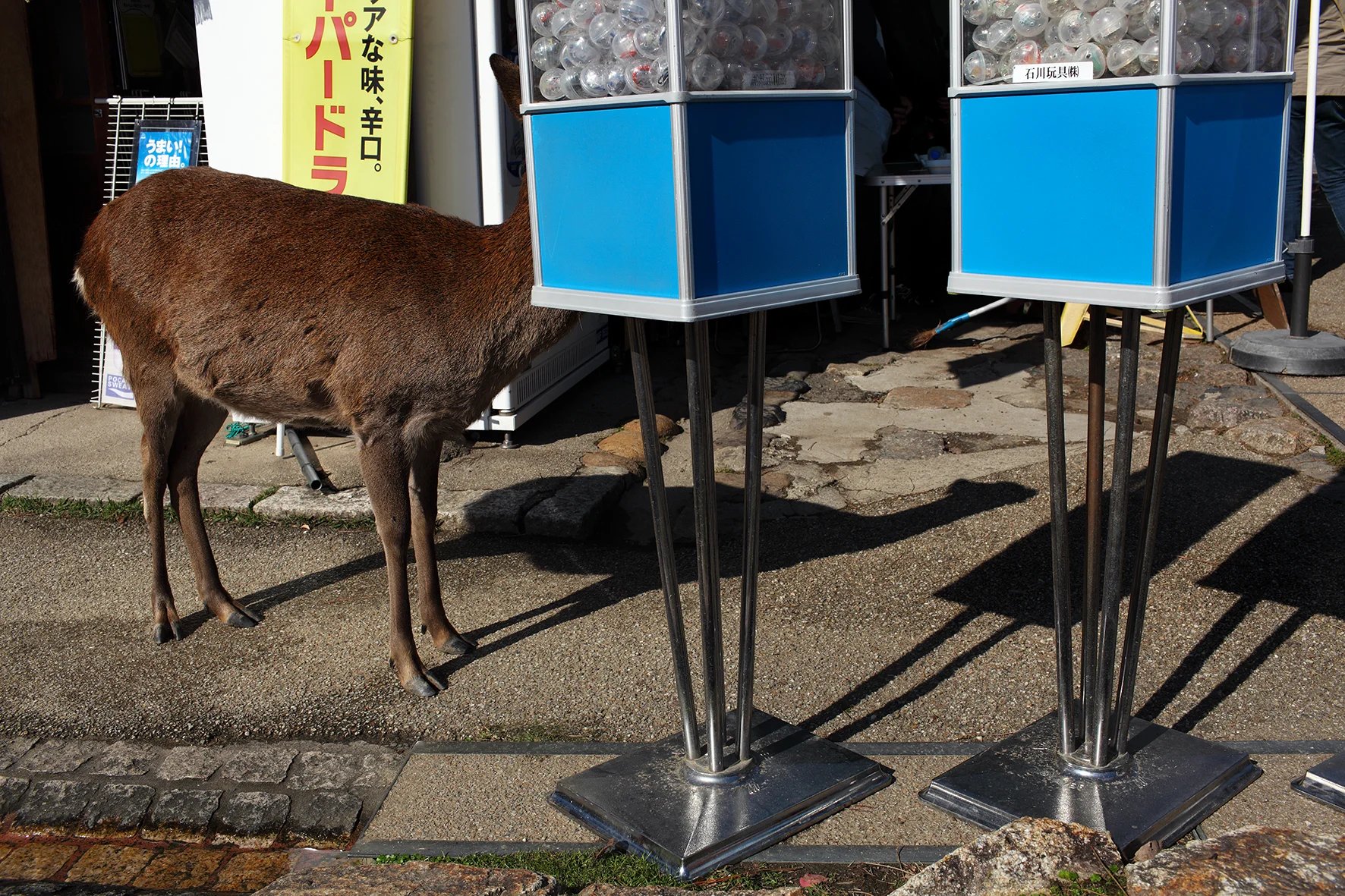 street_47.jpg