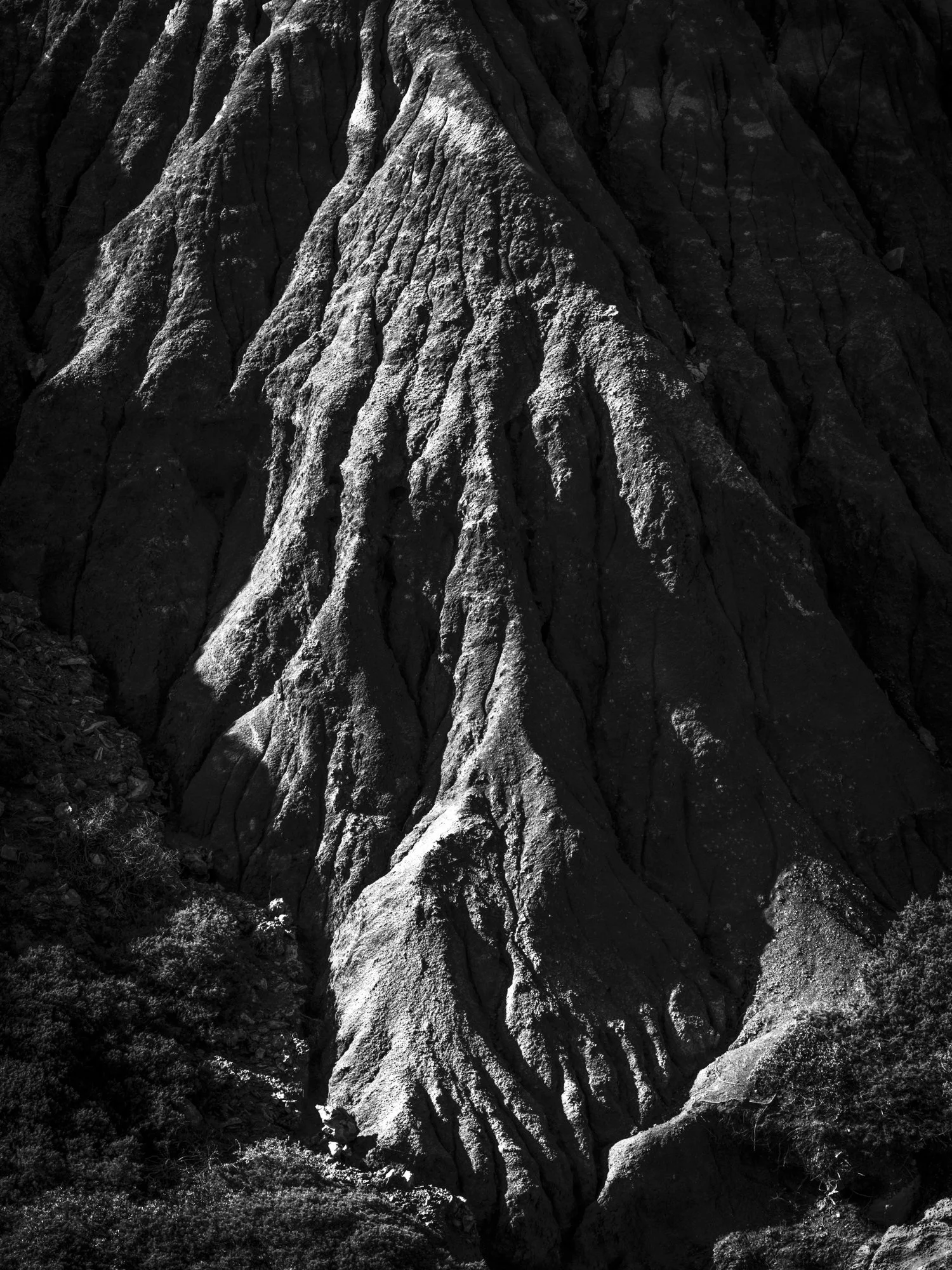 AMURAS_2000PX_EDITING_SEPTEMBRE 2023-3.jpg