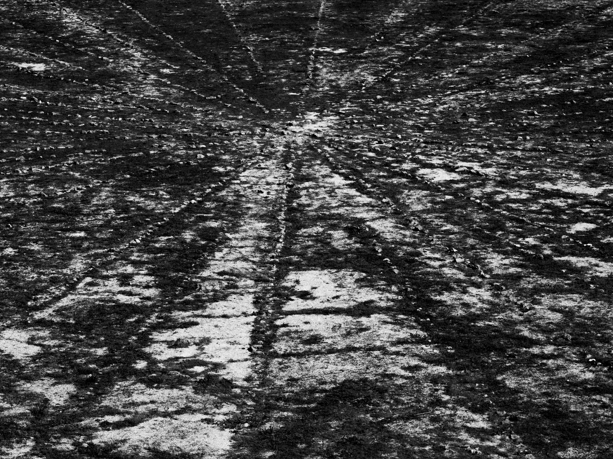 AMURAS_2000PX_EDITING_SEPTEMBRE 2023-8.jpg