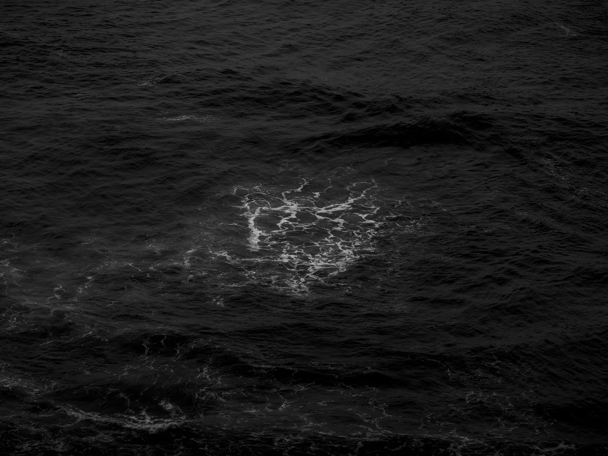 AMURAS_2000PX_EDITING_SEPTEMBRE 2023-16.jpg