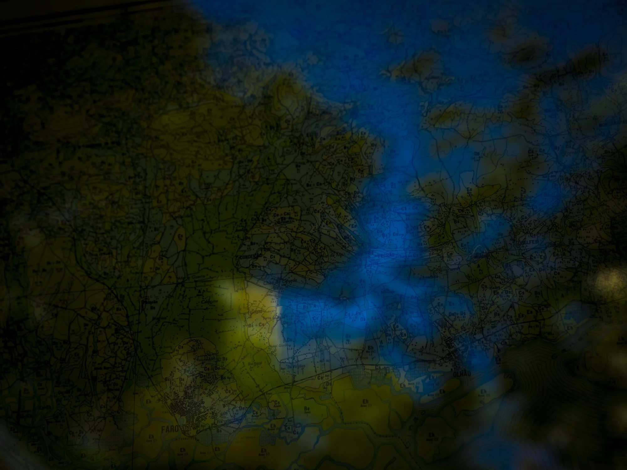 AMURAS_2000PX_EDITING_SEPTEMBRE 2023-24.jpg