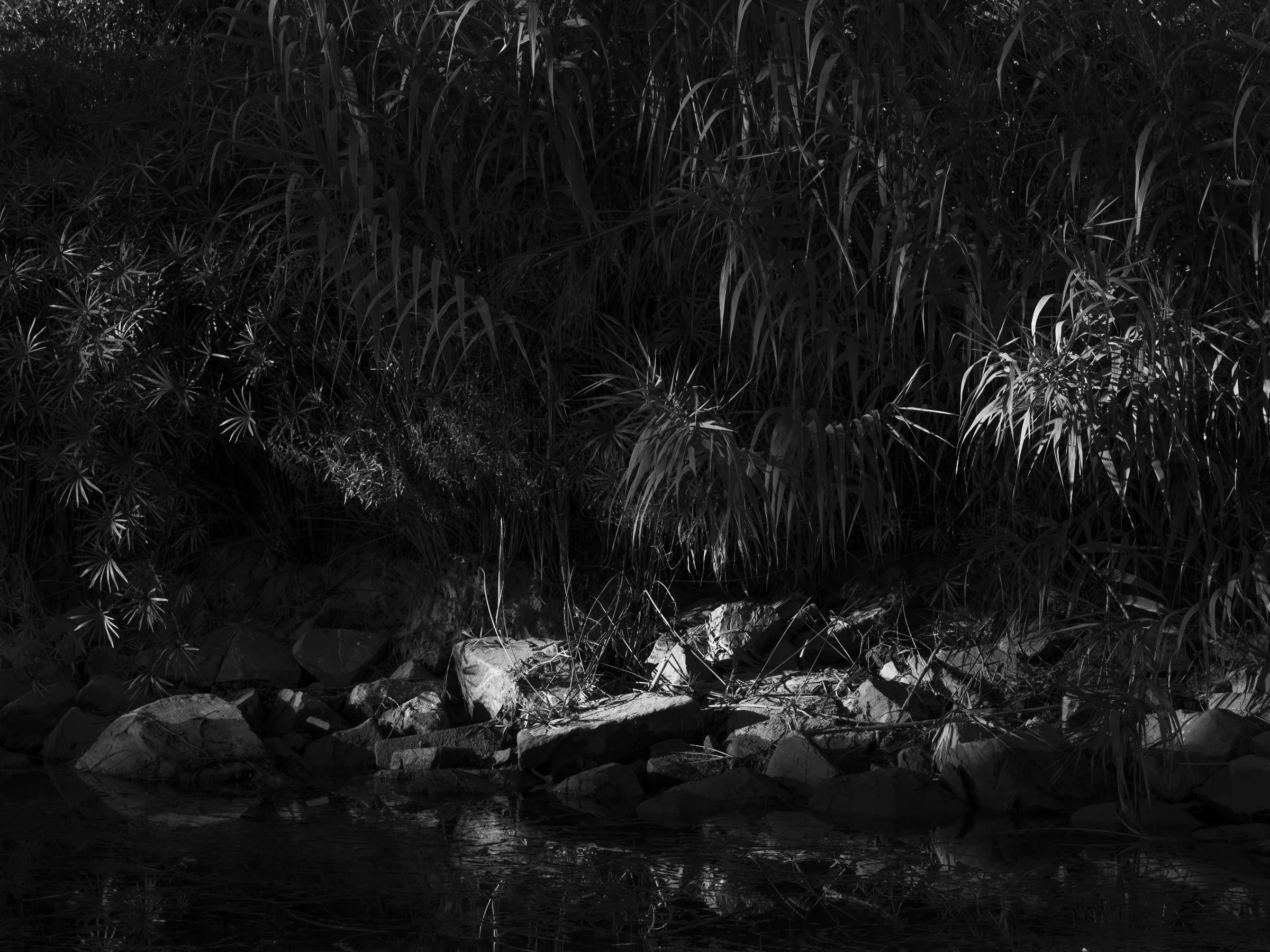 AMURAS_TRAVERSÉE_2400PX-8.jpg